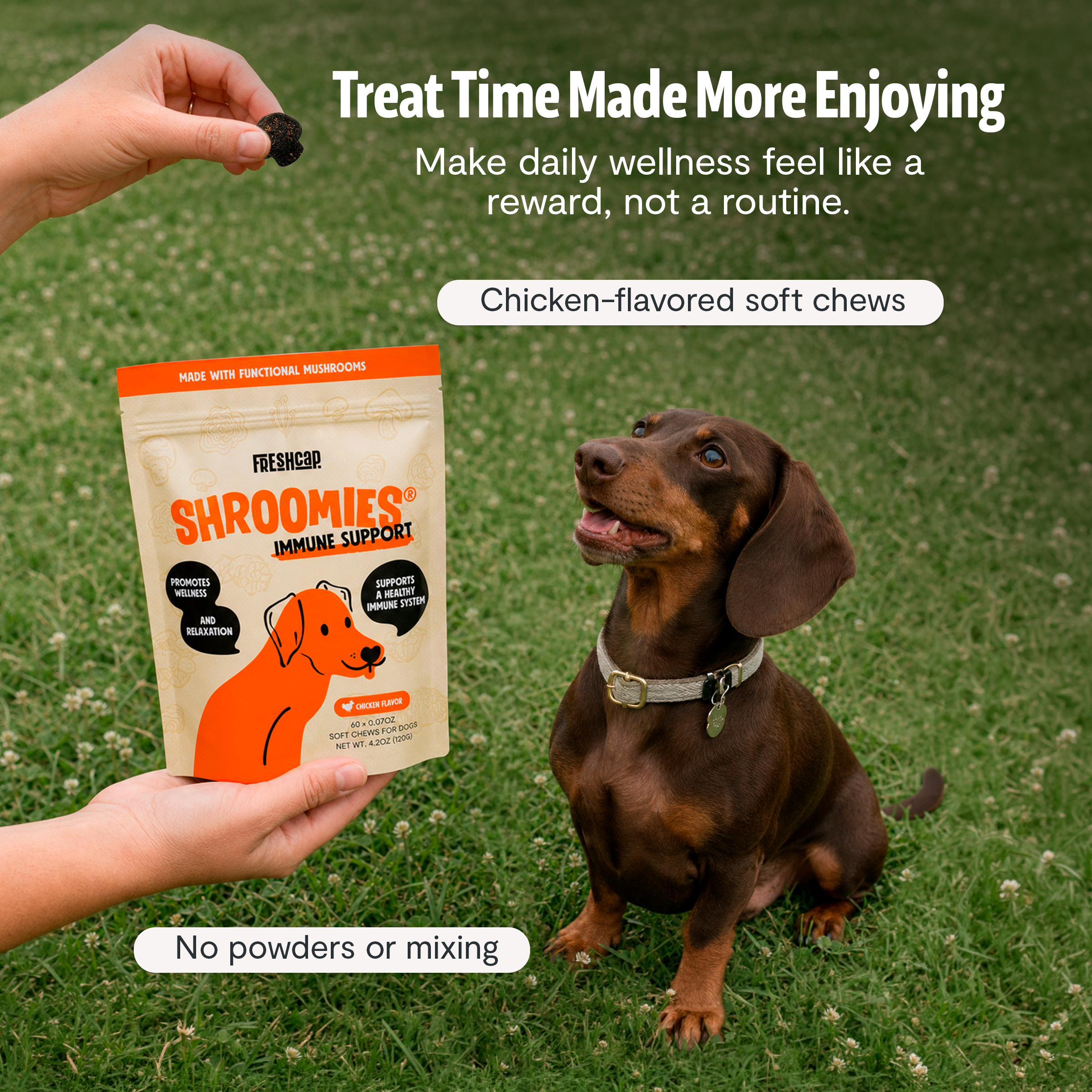 Shroomies Mushroom Chews for Dogs