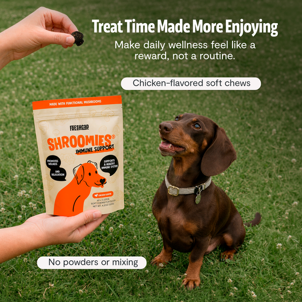 Shroomies Mushroom Chews for Dogs