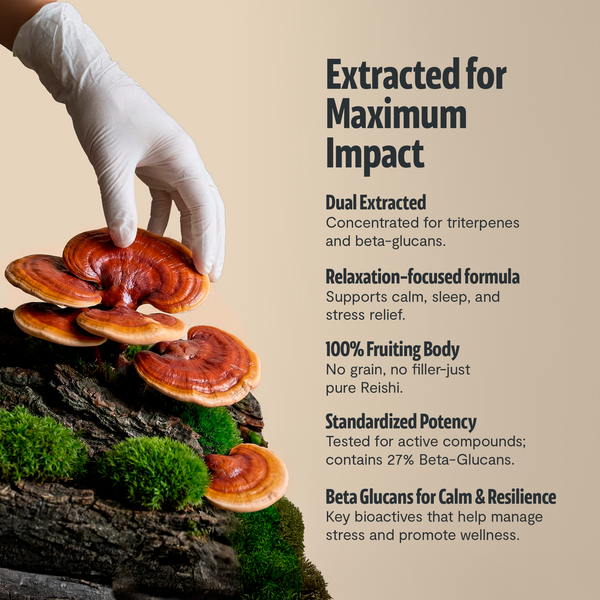 Reishi Mushroom Extract Capsules