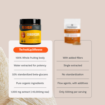 How Cordyceps Extract Differs from Whole Mushroom Powder 