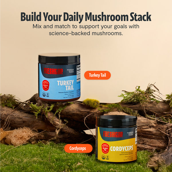 Turkey Tail Mushroom Extract Powder