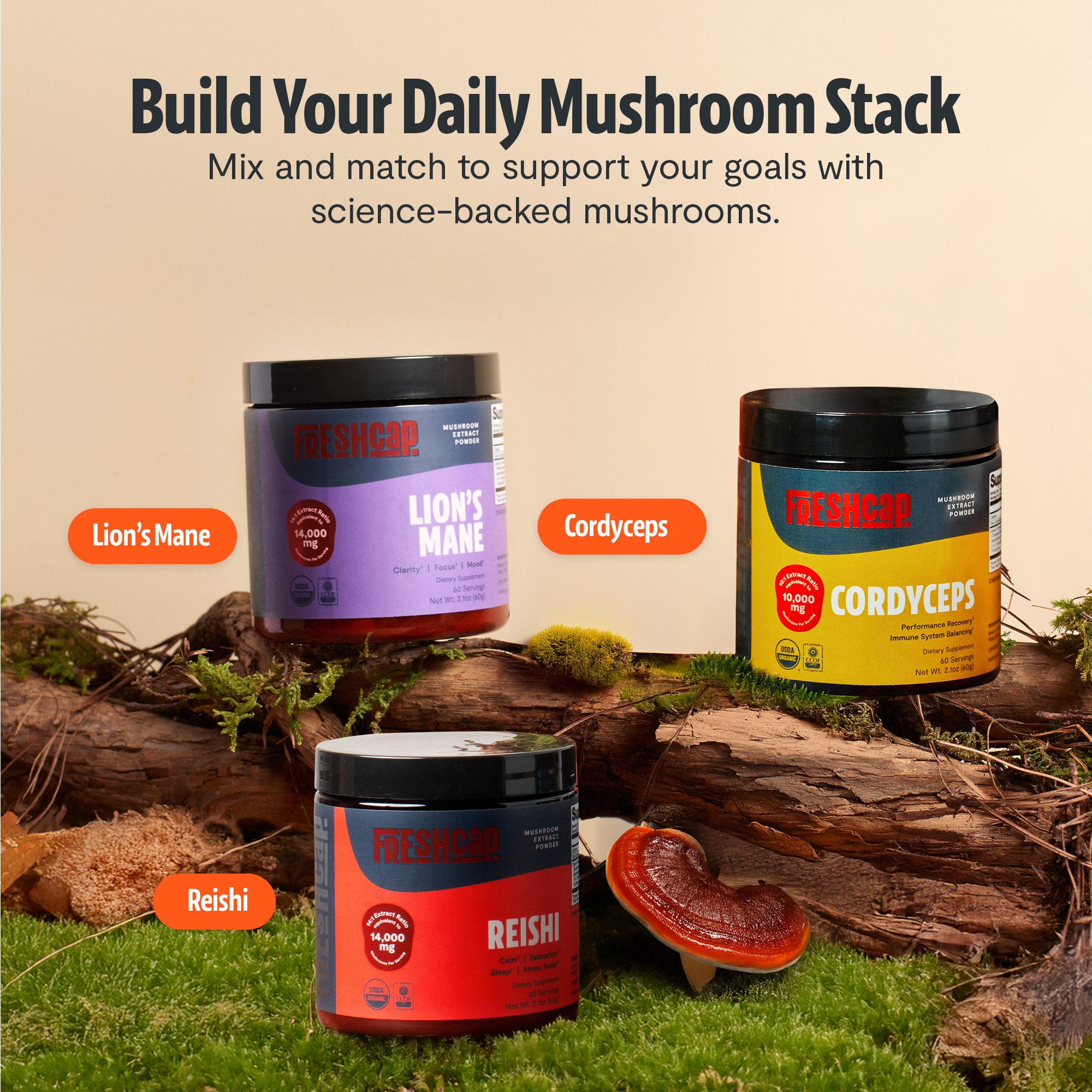 Reishi Mushroom Extract Powder