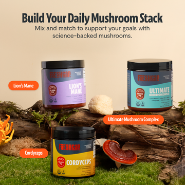 Cordyceps Mushroom Powder – 100% Fruiting Body Extract (60g