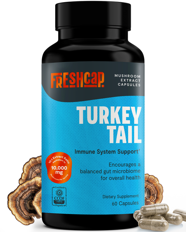 Turkey Tail Mushroom Extract Capsules