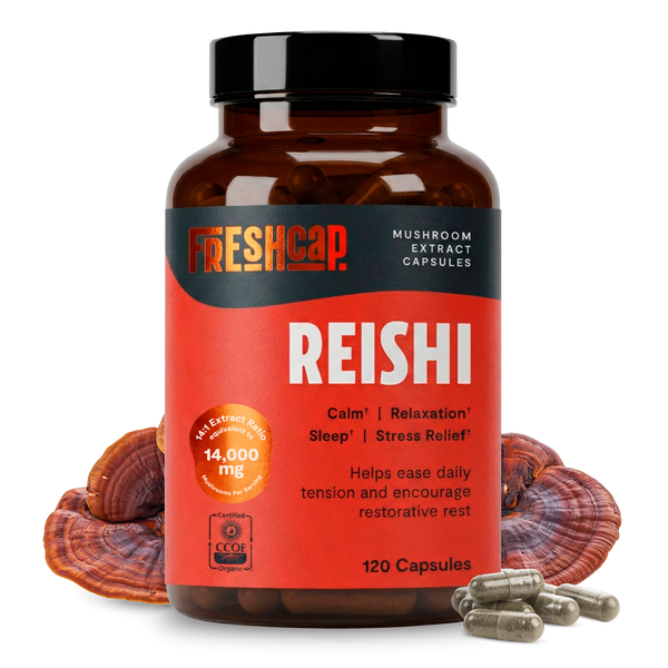 Reishi Mushroom Extract Capsules