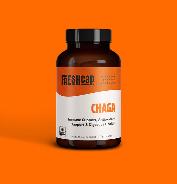 Chaga Mushroom Extract Capsules