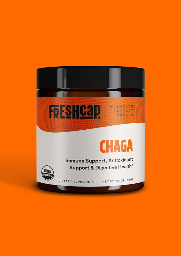 Chaga Mushroom Extract Powder